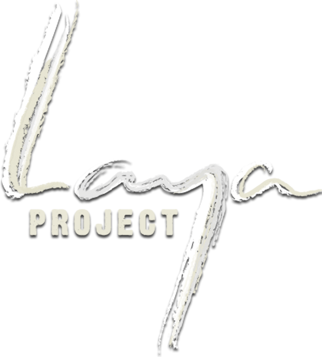 Laya Project